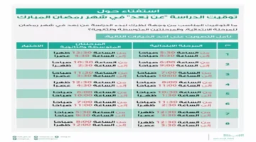 رقميًا رمضان.. خبير يطالب بثورة جذرية في التعليم عبر مدرستي